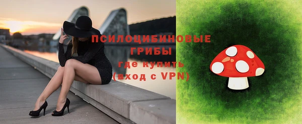 шишки Беломорск