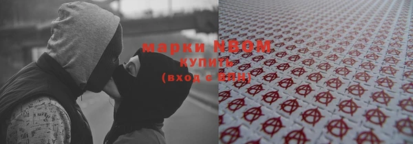 шишки Беломорск