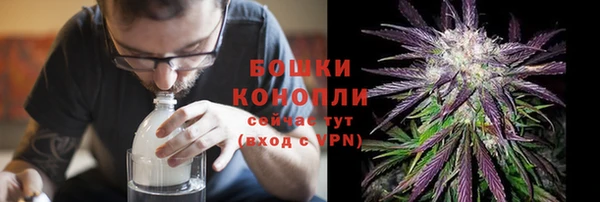 шишки Беломорск