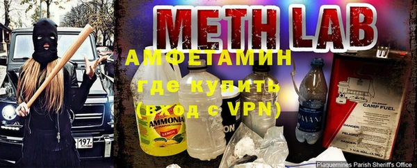 шишки Беломорск
