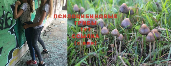 стаф Балахна