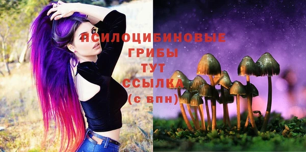 кокс Богданович