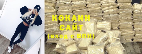 шишки Беломорск