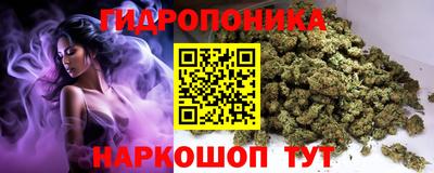 шишки Малоярославец
