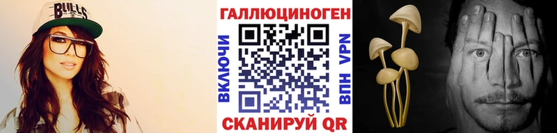 наркота Калуга Псилоцибиновые грибы Psilocybe