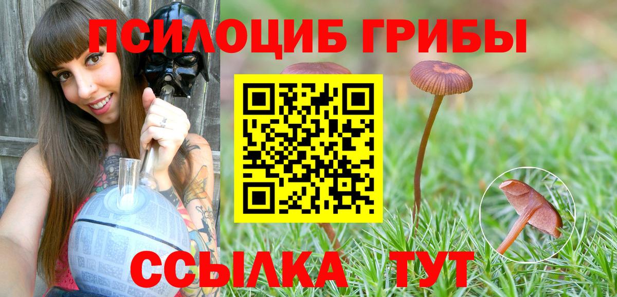Калуга  Галлюциногенные грибы ЛСД  Вход с VPN 